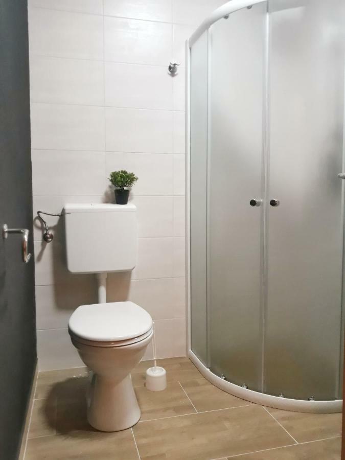 Villa Mihaela - Apartment Ika Cesarica Exteriör bild